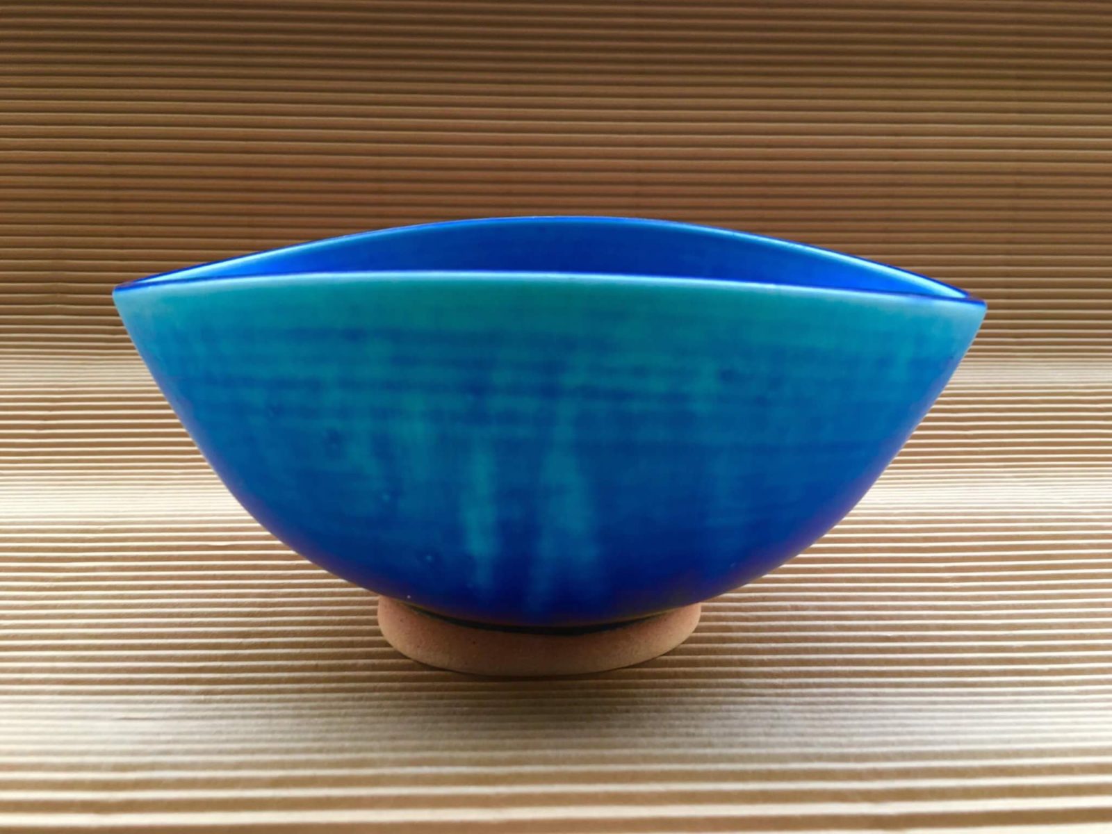 ペルシアン・ブルー　鉢